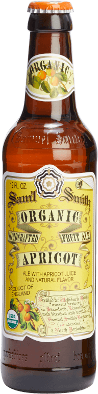 ORGANIC APRICOT FRUIT ALE SINGLE 2.7 FL OZ 